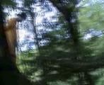 Janie caught in the Forest (2)