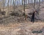 Barefeet in the wood 2