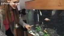 118023 Naughty Cynthia Pees In The Fish Tank 