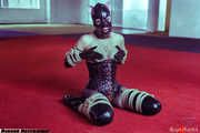 Rubber kinbaku kitten