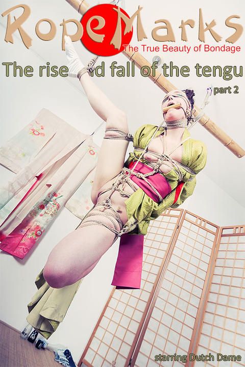 The rise and fall of the tengu, part 2