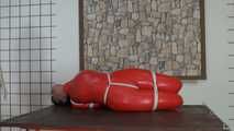 Latex hogtie