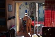 Nude housework