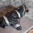 [From archive] Veronika - captured, hogtied and packed into trash bag 02