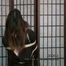 Nana Akasaka - Baudy Widow Bound and Gagged in Confinement - Full Movie