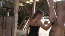 Training in the stable with Mistress Kristin