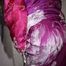 Sexy Sonja wearing a sexy purple downsuit foaming herself with shaving cream (Pics)