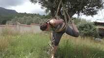 The new Spain Files - Bettine hanging in the Olive Tree