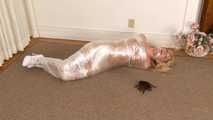 Miss Muffet Mummified - Niki Lee Young