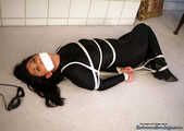 Confident Catburglar Hogtied - Tomiko