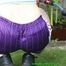 Watch Chloe watering the Garden enjoying her shiny nylon Shorts