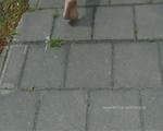 Outdoor barfoot walking