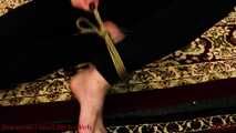 Shibari Tutorial 1 - Single Column Tie & Half Hitches