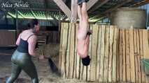 Suspended and whipped through the stable
