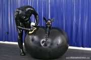 The Dog as Ball, Punishment Inflament