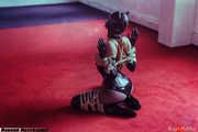 Rubber kinbaku kitten