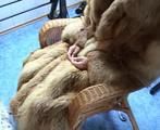 AB-097 Bondage in fur coats - Full Video