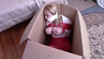 Boobs and Bondage - A Gift For You - Lorelei in a Box
