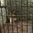Rachel Adams in the new Cell