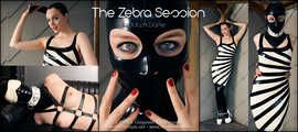 The Zebra Session