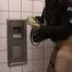 016211 Eve Pees On The Floor Of The Filthy Public Toilet