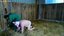 Today I slaughter a fat pig ( role play )