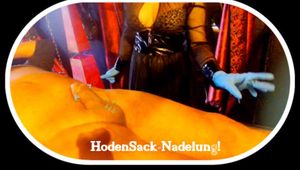 Herrin nadelt deinen Hodensack!