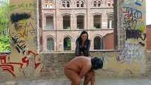 Hard Ballbusting for my Slave