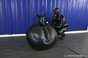 The Dog as Ball, Punishment Inflament