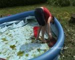 cleaning the pool