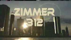 ZIMMER 312