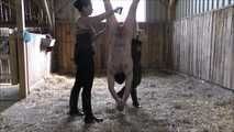 Training in the stable with Mistress Kristin