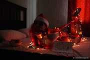 Morrigan - Weihnachtswunder: Das erste Mal der freche Rotschopf