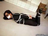 Confident Catburglar Hogtied - Tomiko