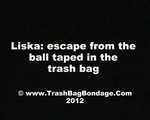 [From archive] Liska: escape from the ball taped in the trash bag