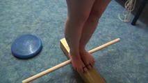 Jadirs Education - Punishment and Balance Training