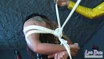 Fucked hard in bondage