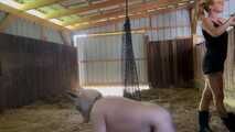 I drive my horny pig through the stable