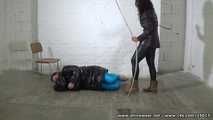 Dama Cesara - Boot worship, hard whipping and trampling