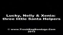 [From archive] Lucky, Nelly and Xenia - Santa Helpers on balcony (video)