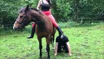 After the ride without saddle the slave licks the riding trousers cleanly