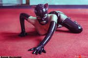 Rubber kinbaku kitten