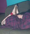 Sweet Cheeks in Preppy Hogtie (WARNING. THERE IS A QUALITY ISSUE WITH THE FOOTAGE, CHECK PREVIEW)