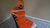 1184 Sweet in Pumpkinhead Chair Tie