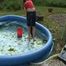 cleaning the pool