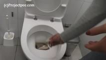 119003 Donna-Jo Takes A Long Pee In The Shopping Mall Toilet