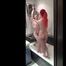 Morrigan and Valeria Ross - Shower time with cuffs and ballgag