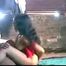 Village bhabi sex with deyor