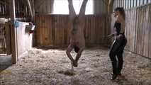 Training in the stable with Mistress Kristin