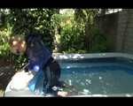 PIA wearing a hot black shiny nylon pants and a blue/black shiny down jacket taking a bath in the swimming pool (Video)